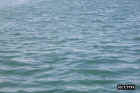 Medit_wavesa.JPG (50097 bytes)