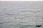 North-Sea2a.JPG (35700 bytes)