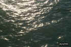 water01a.JPG (62862 bytes)