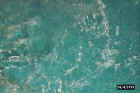 water02a.JPG (62071 bytes)