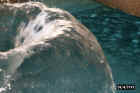 water03a.JPG (53799 bytes)