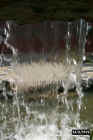 water10a.JPG (57671 bytes)