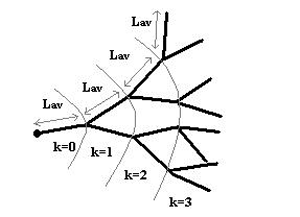 binary hyphal trees