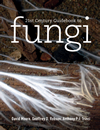 21st Century Guidebook to Fungi